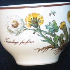 rice bowl Villery & Boch 2