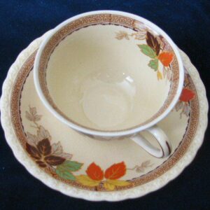 Flat Cup & Saucer by Myott/Staffordshire 12