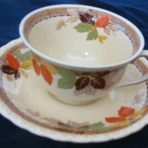 Flat Cup & Saucer by Myott/Staffordshire 1