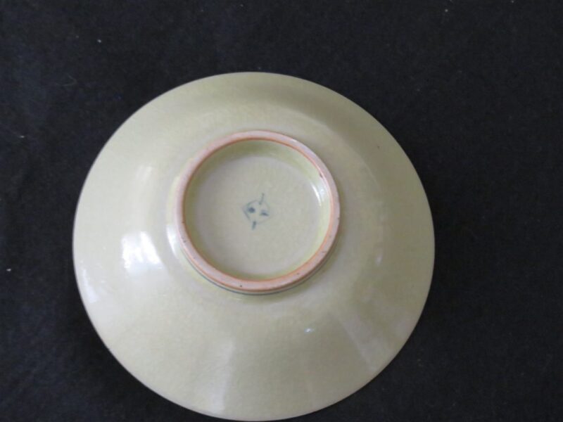 Bowl Earthernware 5