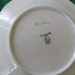 Vintage Hutschenreuther Selb Salad Plate Brighton Pattern 2