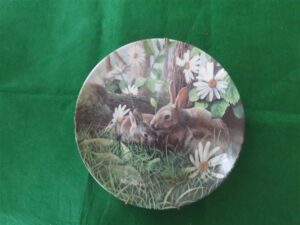 1987 Edwin Knowles Limited Edition "The Rabbit" by Kevin Daniel Collector Plate Edwin M knowles First issue in the “Friends of the Forrest” collection by Keven Daniel 8 ½ inhes diameter. Plate #4152A Bradex #84-K41-45.1 Good condition. No chips, dings or sratches. Must be considered s used. No box or certificate. Hanger apparatus is included. 1