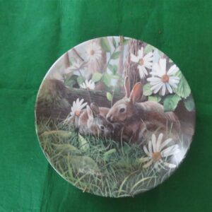 1987 Edwin Knowles Limited Edition "The Rabbit" by Kevin Daniel Collector Plate Edwin M knowles First issue in the “Friends of the Forrest” collection by Keven Daniel 8 ½ inhes diameter. Plate #4152A Bradex #84-K41-45.1 Good condition. No chips, dings or sratches. Must be considered s used. No box or certificate. Hanger apparatus is included. 1