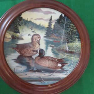 Collector Plate Knowles China Plate 1988 The Blue-winged Teal Duck Bart Jerner Living Nature 1
