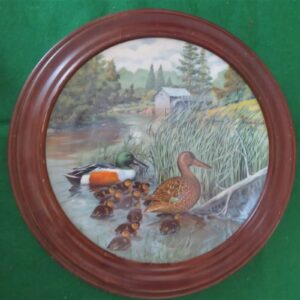 Vintage Collector Plate 1987 Knowles The Northern Shoveler  1