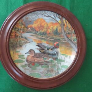 Vintage Collector Plate 1987 Knowles The Green Winged Teal  1