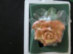 Lenox Flower Porcelain Figurine "The Lenox Gold Rose Club" 1