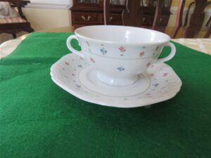 Eschenbach Bavaria China Soup Cup & Saucer 1