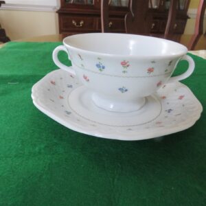 Eschenbach Bavaria China Soup Cup & Saucer 1