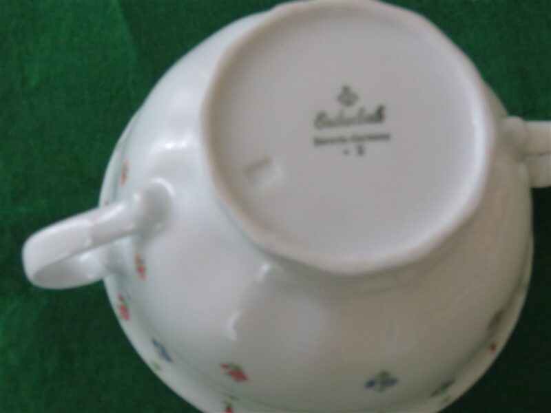 Eschenbach Bavaria China Soup Cup & Saucer 7