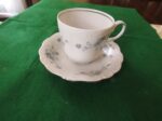 Cup & Saucer Blue Garland Johann Haviland 1