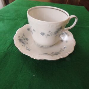 Cup & Saucer Blue Garland Johann Haviland 1