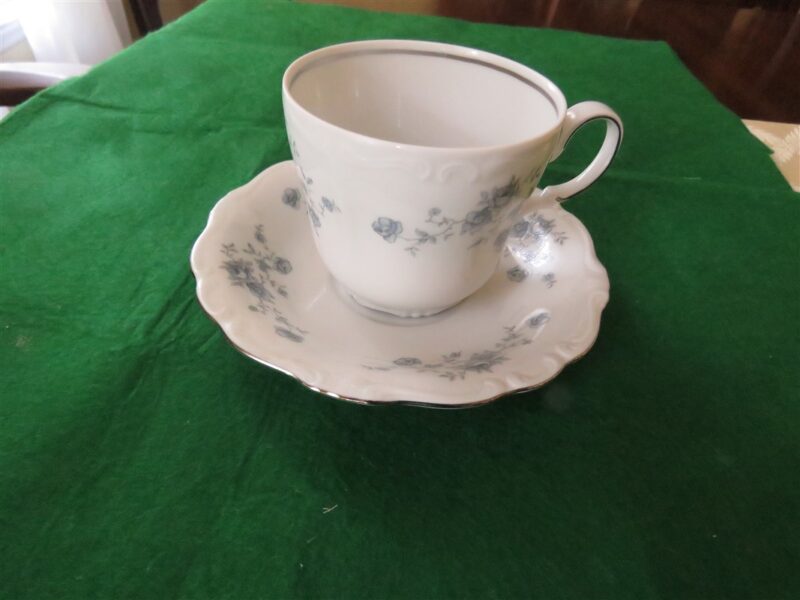 Cup & Saucer Blue Garland Johann Haviland 1