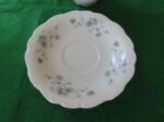 Cup & Saucer Blue Garland Johann Haviland 2