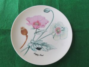 Horchow Collection Botanicals and Herbs Luncheon Plate Poppy Seed 1