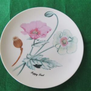 Horchow Collection Botanicals and Herbs Luncheon Plate Poppy Seed 1