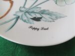 Horchow Collection Botanicals and Herbs Luncheon Plate Poppy Seed 2