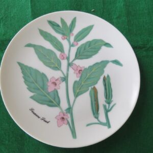 Horchow Collection Botanicals and Herbs Luncheon Plate Sesame Seed 1