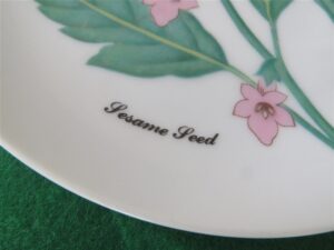 Horchow Collection Botanicals and Herbs Luncheon Plate Sesame Seed 2