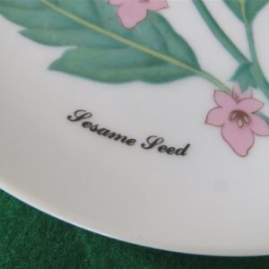 Horchow Collection Botanicals and Herbs Luncheon Plate Sesame Seed 2