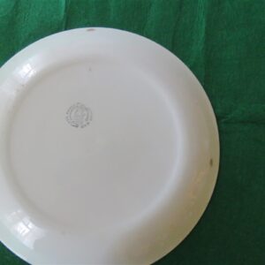 Dinner Plate Vernonware by Metlox Bel Air pattern Green and brown lines. 3