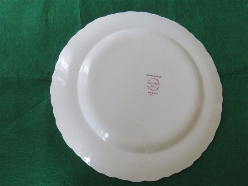 Dinner Plate Wedgwood Corn Flower. Etruria & Barlaston. 2