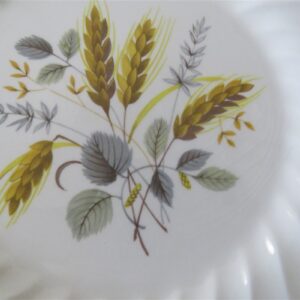 Myott Staffordshire Ironstone Dinner Plate. Wheat pattern. 2