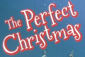 Perfect Christmas Book