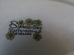 Under Plate For Gravy Boat Relish Dish Summer time pattern by Staffordshire 4