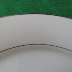 Dinner Plate Noritake Envoy 2