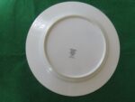 Dinner Plate Noritake Envoy 3