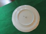 Dinner Plate by Chodziez China Set of 2 plates. 07496 c