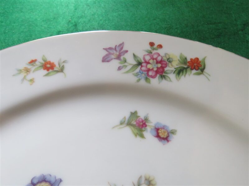  Harmony House China, Dresdania 5 Piece Place Setting 3