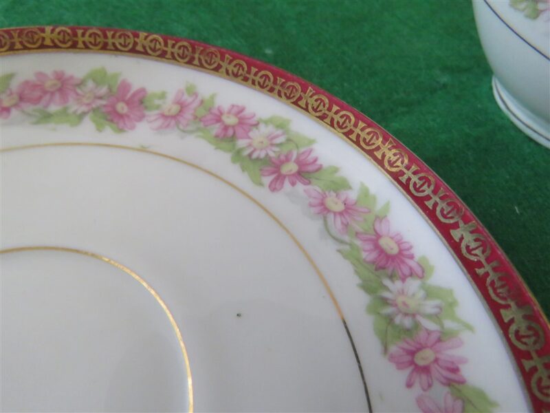 Footed Tea Cup & Saucer Floral ring Maroon ring. 3