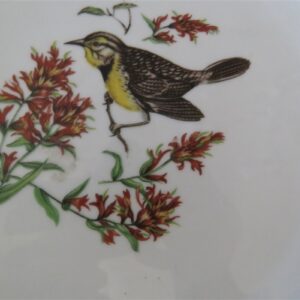 Schumann Arzberg Bavaria Germany, Oriole Bird Chop Plate, 2