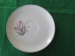 Grantcrest Saucer Pink Crocus 1