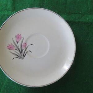 Grantcrest Saucer Pink Crocus 1