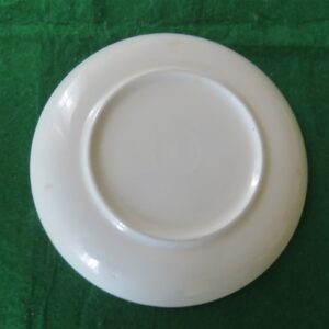 Grantcrest Saucer Pink Crocus 2