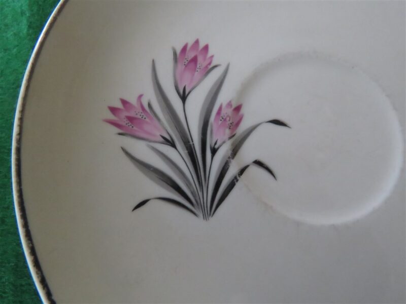 Grantcrest Saucer Pink Crocus 3