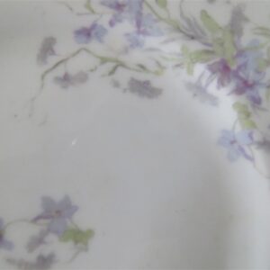 Salad plate by Bassett Limoges Austria 5186 series. 2