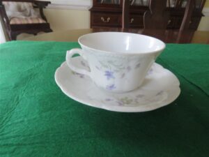 Cup & Saucer by Bassett Limoges Austria 5186 series. 1