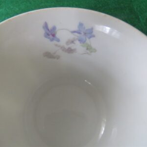 Cup & Saucer by Bassett Limoges Austria 5186 series. 2