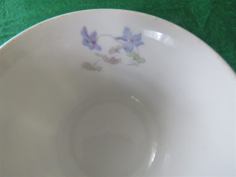 Cup & Saucer by Bassett Limoges Austria 5186 series. 2