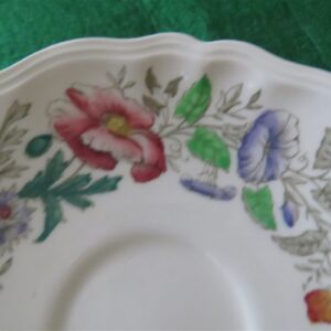 Cup & Saucer Royal Doulton Stratford Floral D.6196 f