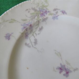 Dinner Plate by Bassett Limoges Austria 5186 series. 2