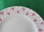 Bread Plate Swinnertons Bijou Red 2
