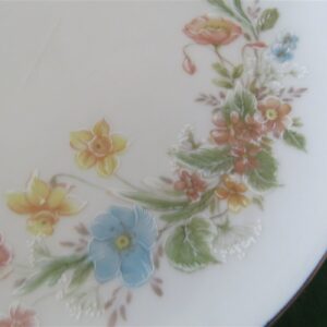 Premier China Berkshire MD104 Salad Plate Set of 4 plates. 2