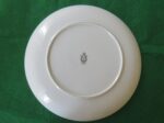 Dinner Plate Nasco Japan Paris Night 3