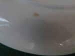 Metlox dinner plate Ivy 14