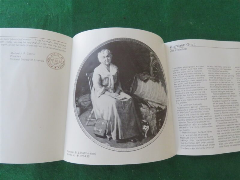 Rockwell Collector Plate Knowles Reminiscing In The Quiet 6
